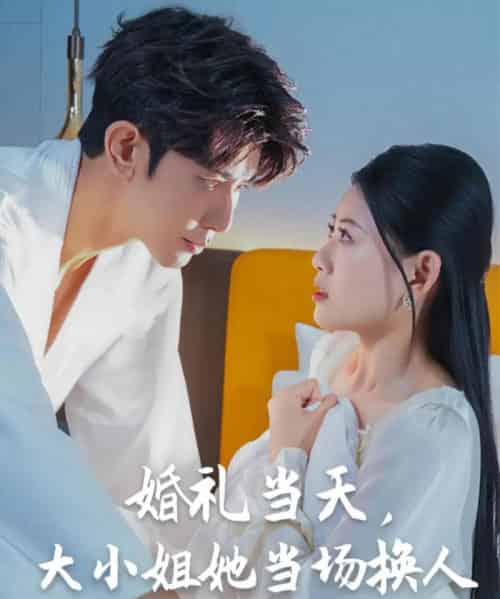 婚礼当天,大小姐她当场换人 婚礼当天,大小姐她当场换人