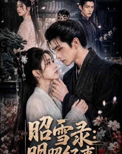 昭雪录：明昭纪事（20集全）AI-海之城短剧项目