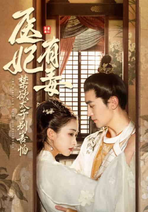 子凭母贵（61集全）李文孝＆李惠宁 - 海之城短剧