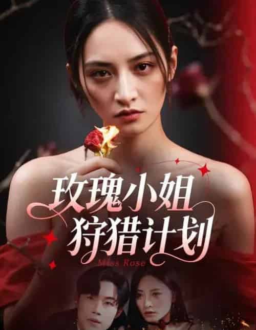 玫瑰小姐狩猎计划 （60集全）敖日格乐＆李虹艺-海之城短剧项目