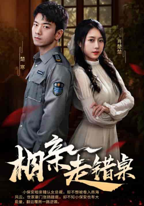 相亲走错桌（88集全）楚寒＆肖楚楚 - 海之城短剧