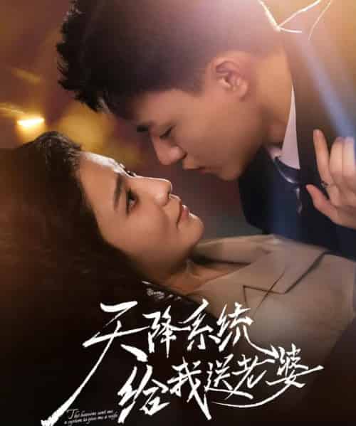 天降系统给我送老婆 天降系统给我送老婆