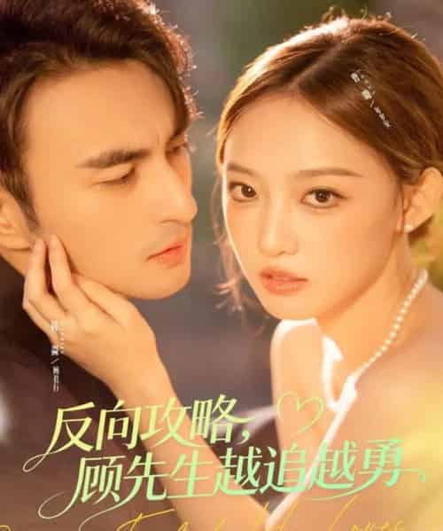 反向攻略，顾先生越追越勇（69集全）韩淼＆曹璐-海之城短剧项目