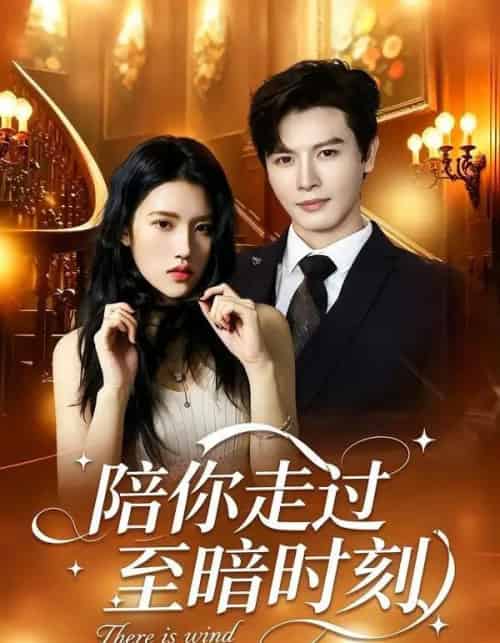 陪你走过至暗时刻（80集全）李彬航＆张沐桐-海之城短剧项目