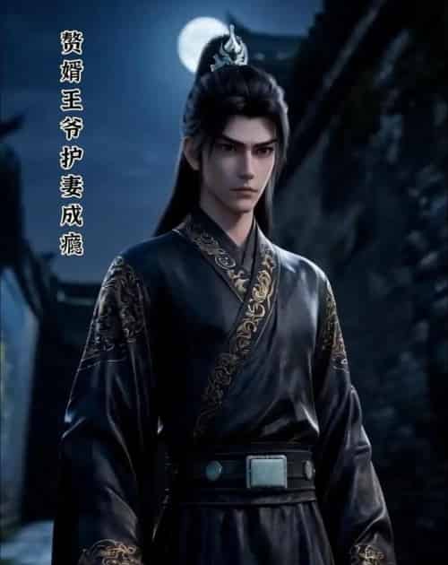 赘婿王爷护妻成瘾（30集全）动漫-海之城短剧项目