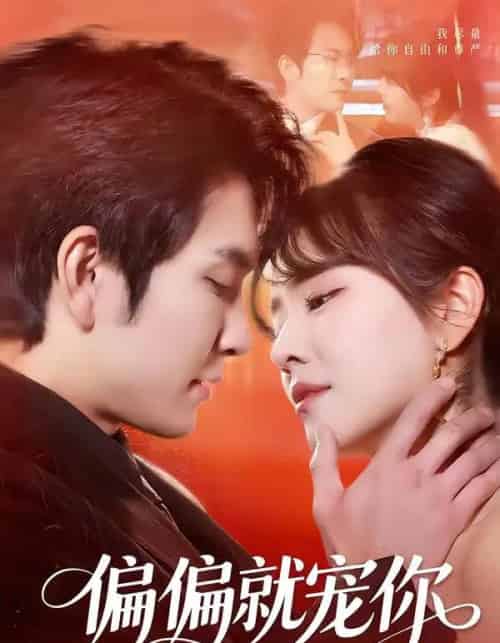 偏偏就宠你（82集全）王已歌＆李雪丹-海之城短剧项目
