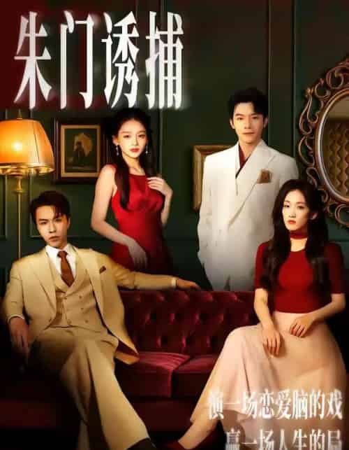 朱门诱捕（45集全）李红雨＆王典典-海之城短剧项目
