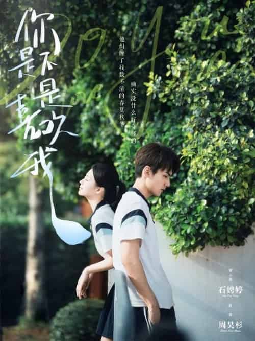 你是不是喜欢我（68集全）周昊杉＆时童 - 海之城短剧