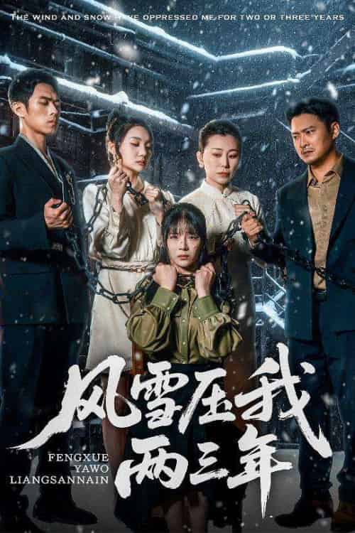 风雪压我两三年 风雪压我两三年