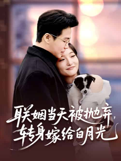 联姻当天被抛弃，转身嫁给白月光（90集）孟瑞＆马维丽 - 海之城短剧