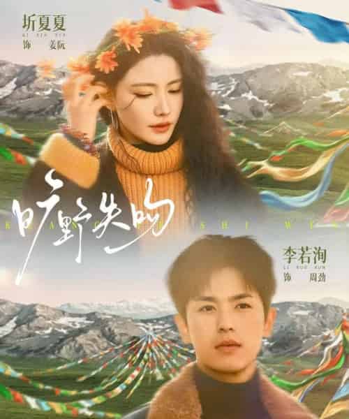 旷野失吻（90集全）李若洵＆圻夏夏-海之城短剧项目