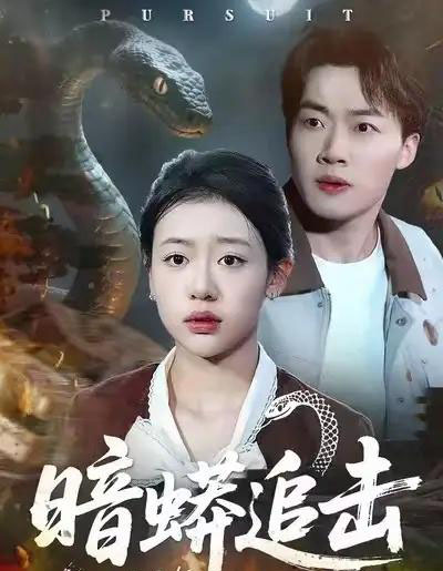 暗蟒追击（35集全）王盈心＆赵文硕-海之城短剧项目
