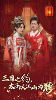 三日之约太子以江山为聘（30集全）徐涵琳 - 海之城短剧