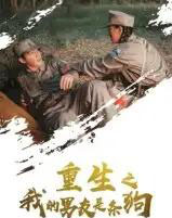 重生之我的男友是条狗（43集全） - 海之城短剧