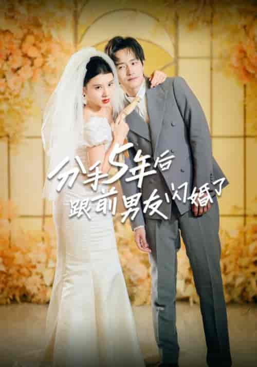 分手5年后跟前男友闪婚了（80集）季寒声＆顾芊 - 海之城短剧