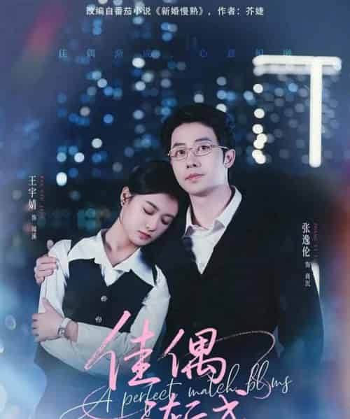 佳偶渐成（71集全）张逸伦＆王宇婧-海之城短剧项目