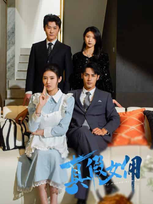 真假女佣（56集全）潘子剑＆申芳赫 - 海之城短剧