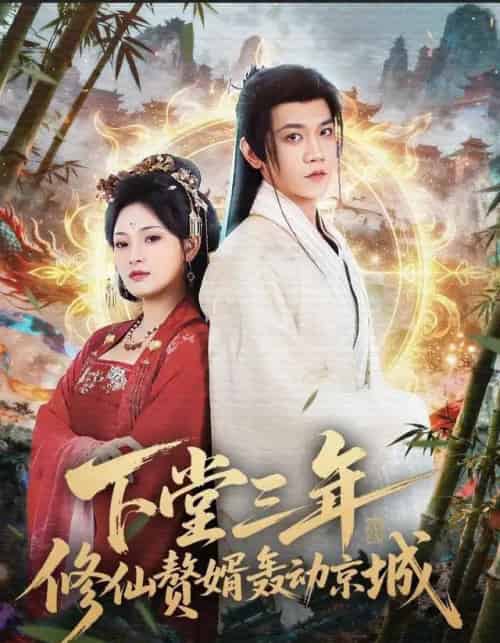 下堂三年修仙赘婿轰动京城（60集全）刘雪君＆苗雨峤-海之城短剧项目