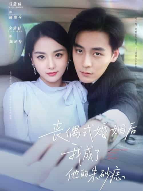 丧偶式婚姻后我成了他的朱砂痣（81集全）余沛杉＆马倩倩 - 海之城短剧