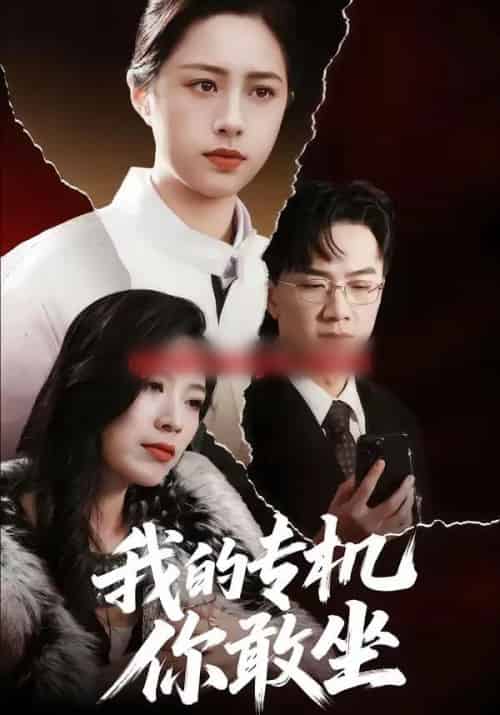 我的专机你敢坐（62集全）王婧琦＆周家洪-海之城短剧项目