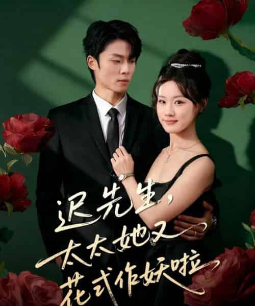 迟先生，太太她又花式作妖啦（61集全）杨晨＆邵依蕊-海之城短剧项目