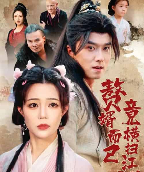 赘婿而已竟横扫江湖（64集全）王振＆章圻悦 - 海之城短剧