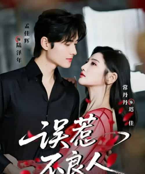 误惹不良人（65集全）孟佳辉＆常丹丹-海之城短剧项目