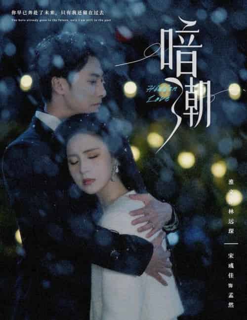 暗潮（58集全）淮文＆宋彧佳＆李兼任＆＆蹇代莉 - 海之城短剧