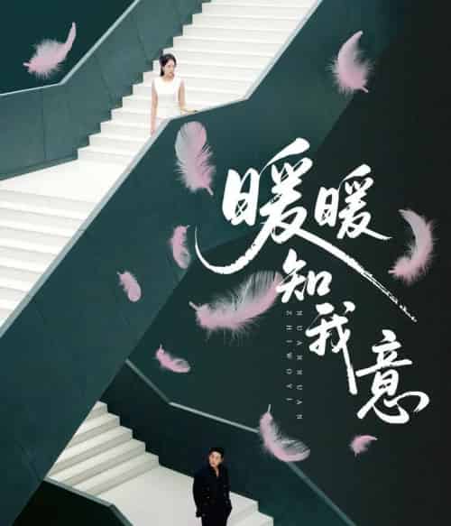 暖暖知我意（61集全）张旋＆程琳淼 - 海之城短剧