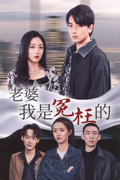 老婆我是冤枉的（31集全） - 海之城短剧