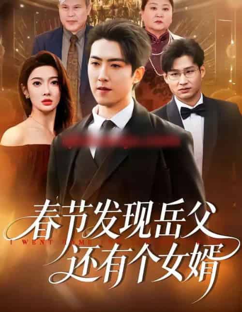 春节发现岳父还有个女婿（50集全）赵阿东＆沈玥妡-海之城短剧项目