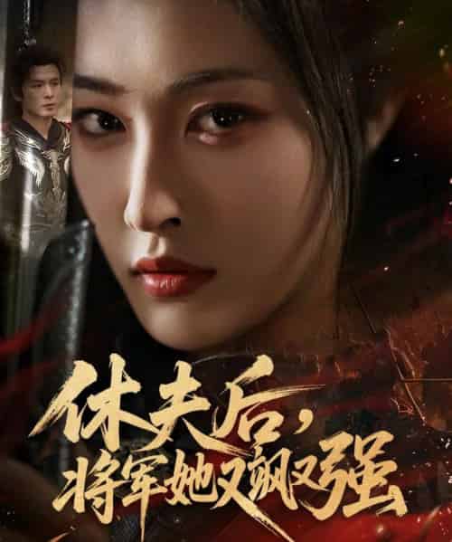 休夫后，将军她又飒又强（61集全）刘星辰＆翟炯-海之城短剧项目