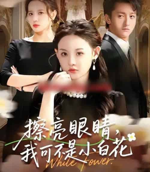 擦亮眼睛，我可不是小白花（60集全）刘安歌＆李泽源-海之城短剧项目