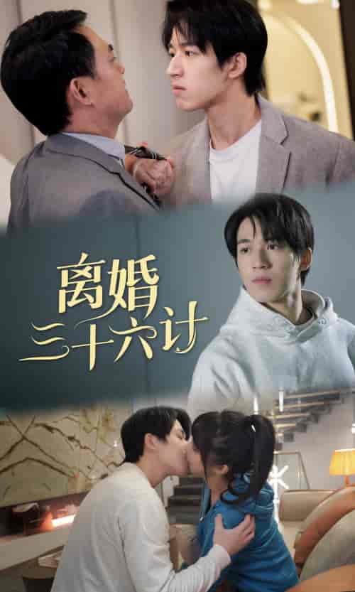 离婚三十六计（96集） - 海之城短剧