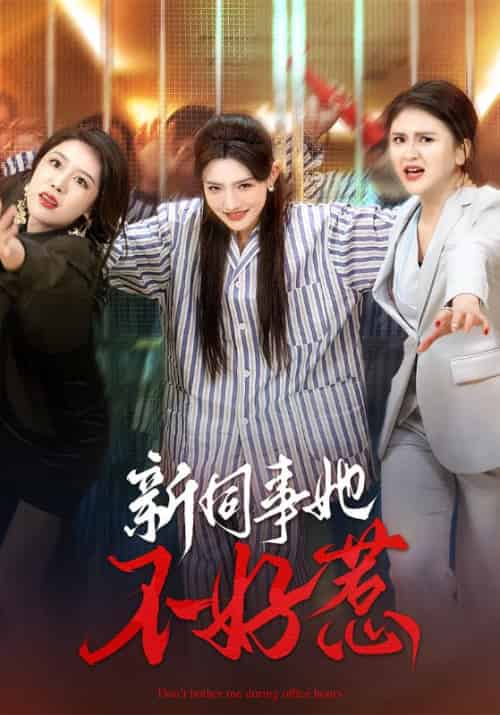 新同事她不好惹（37集全）常丹丹＆钟莹玲 - 海之城短剧