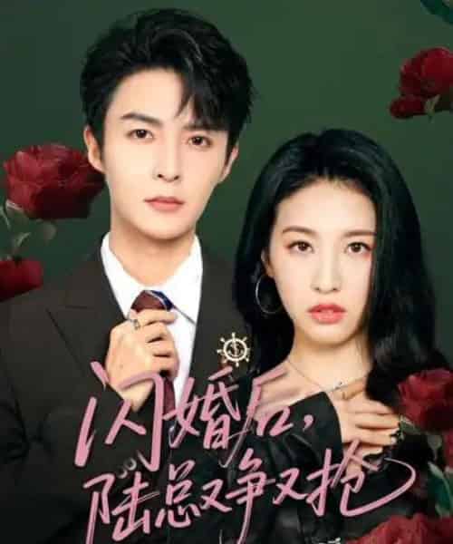 闪婚后陆总又争又抢 闪婚后陆总又争又抢