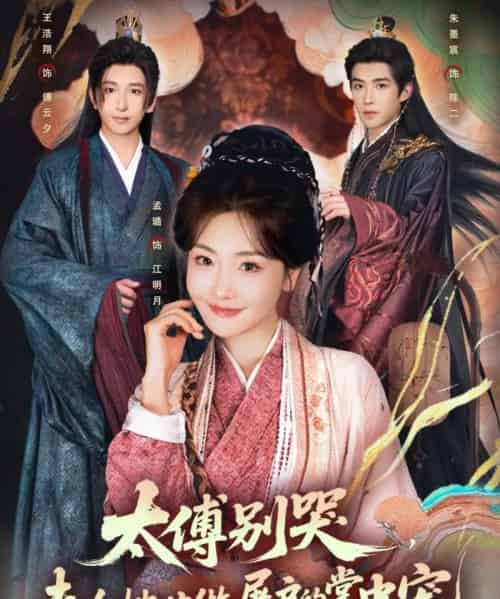 太傅别哭，夫人她甘做屠户的掌中宠（80集全）王浩翔＆孟璐-海之城短剧项目