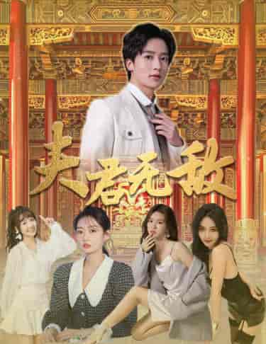 夫君无敌（100集） - 海之城短剧