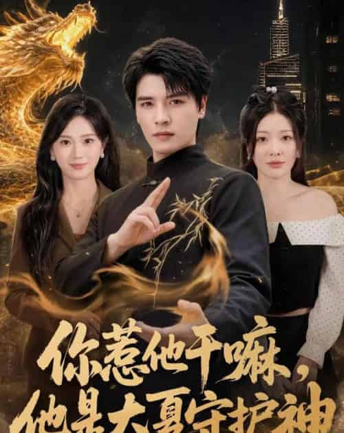 你惹他干嘛，他是大夏守护神（78集全）李彬航＆林初-海之城短剧项目