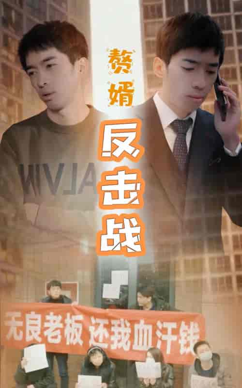 赘婿反击战-100集 赘婿反击战-100集
