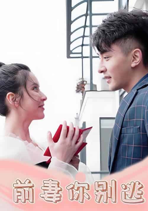 前妻你别逃（20集全）安佑臣＆于洛熙 - 海之城短剧