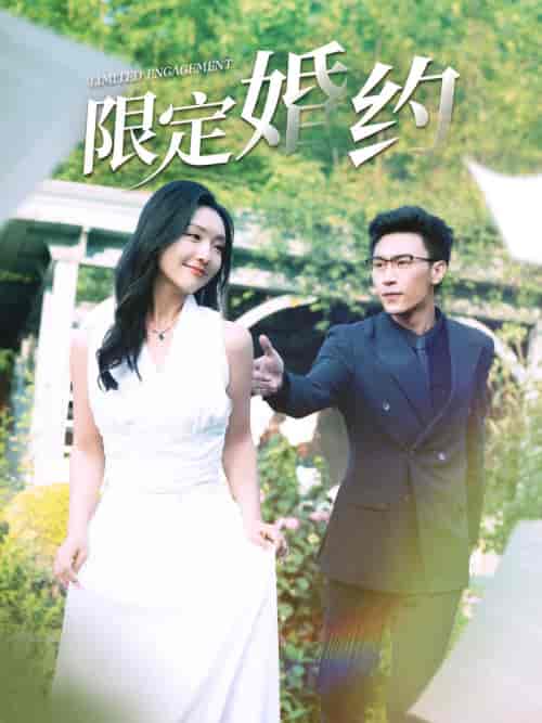 限定婚约 限定婚约