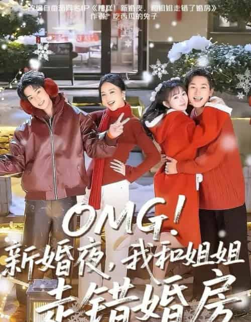 OMG！新婚夜，我和姐姐走错婚房（100集全）张旋＆查祎琛＆夏玄子-海之城短剧项目