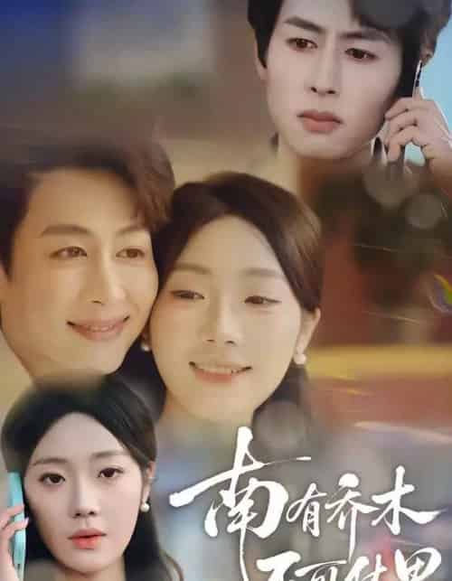 南有乔木，不可休思（68集全）邢航铭＆孔祥东-海之城短剧项目