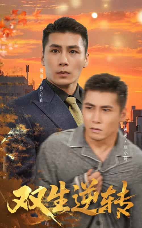 双生逆转（60集全）王妍-海之城短剧项目