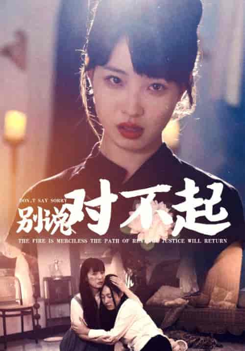 别说对不起（35集全） - 海之城短剧