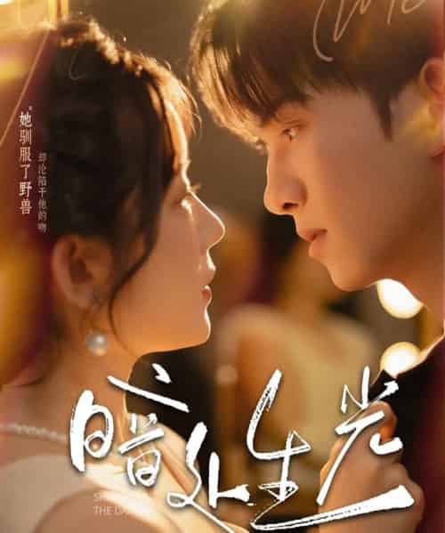 暗处生光（82集）莫书铭＆冯易鑫-海之城短剧项目