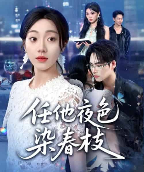任他夜色染春枝（60集全）铭汐＆于颢鑫＆陈含-海之城短剧项目
