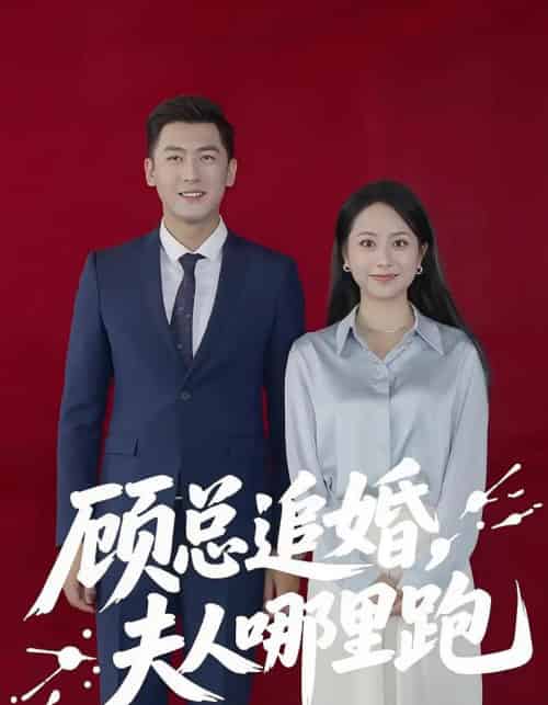 顾总追婚夫人哪里跑 顾总追婚夫人哪里跑