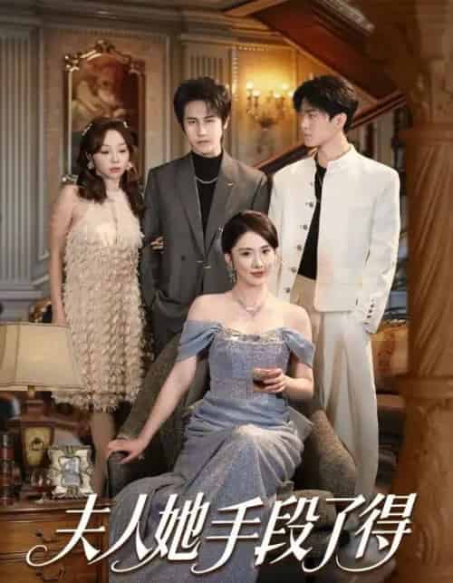 夫人她手段了得（82集全）孙航＆金鑫欣-海之城短剧项目